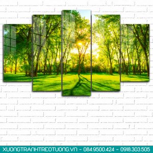 tranh rừng cây thiên nhiên