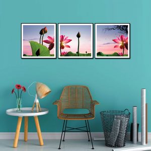 bộ tranh canvas hoa sen