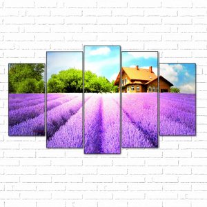 tranh canvas cánh đồng hoa tím