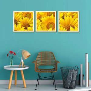 tranh canvas hoa hướng dương