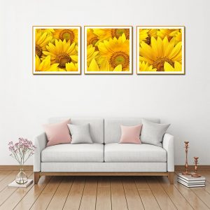 tranh canvas hoa hướng dương