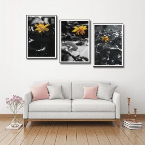 bộ tranh canvas hoa sen sắc vàng