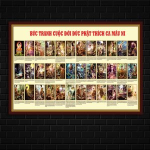 cuoc doi thich ca 4074