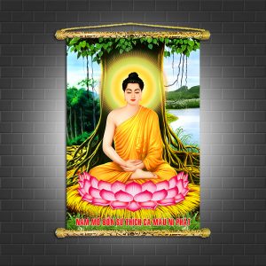 đức bổn sư thích ca t4078